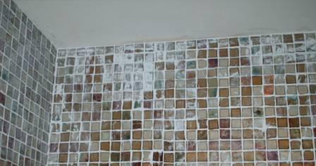Picture shows Grout left to dry on the tile.